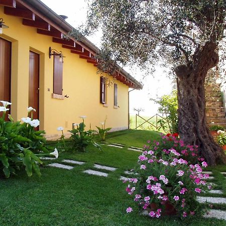 Agriturismo Tenuta Santa Maria Notaresco Eksteriør billede