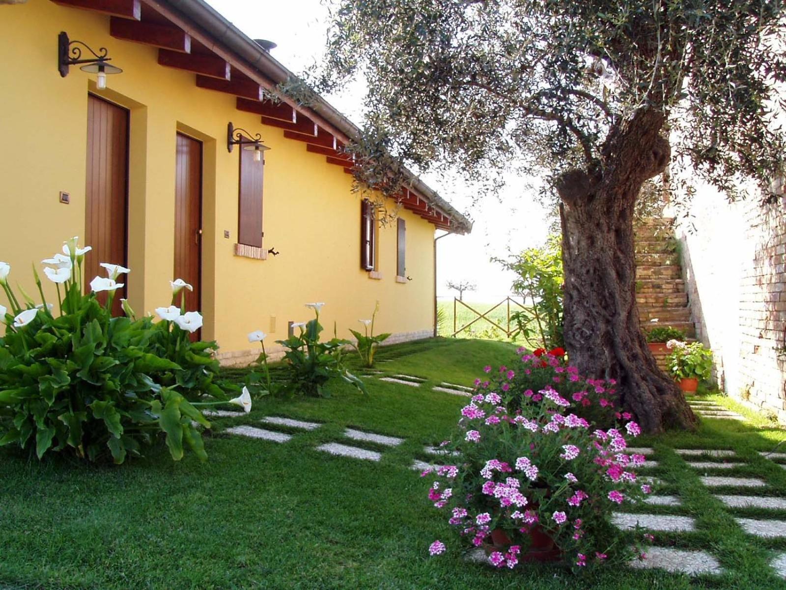 Agriturismo Tenuta Santa Maria Notaresco Eksteriør billede