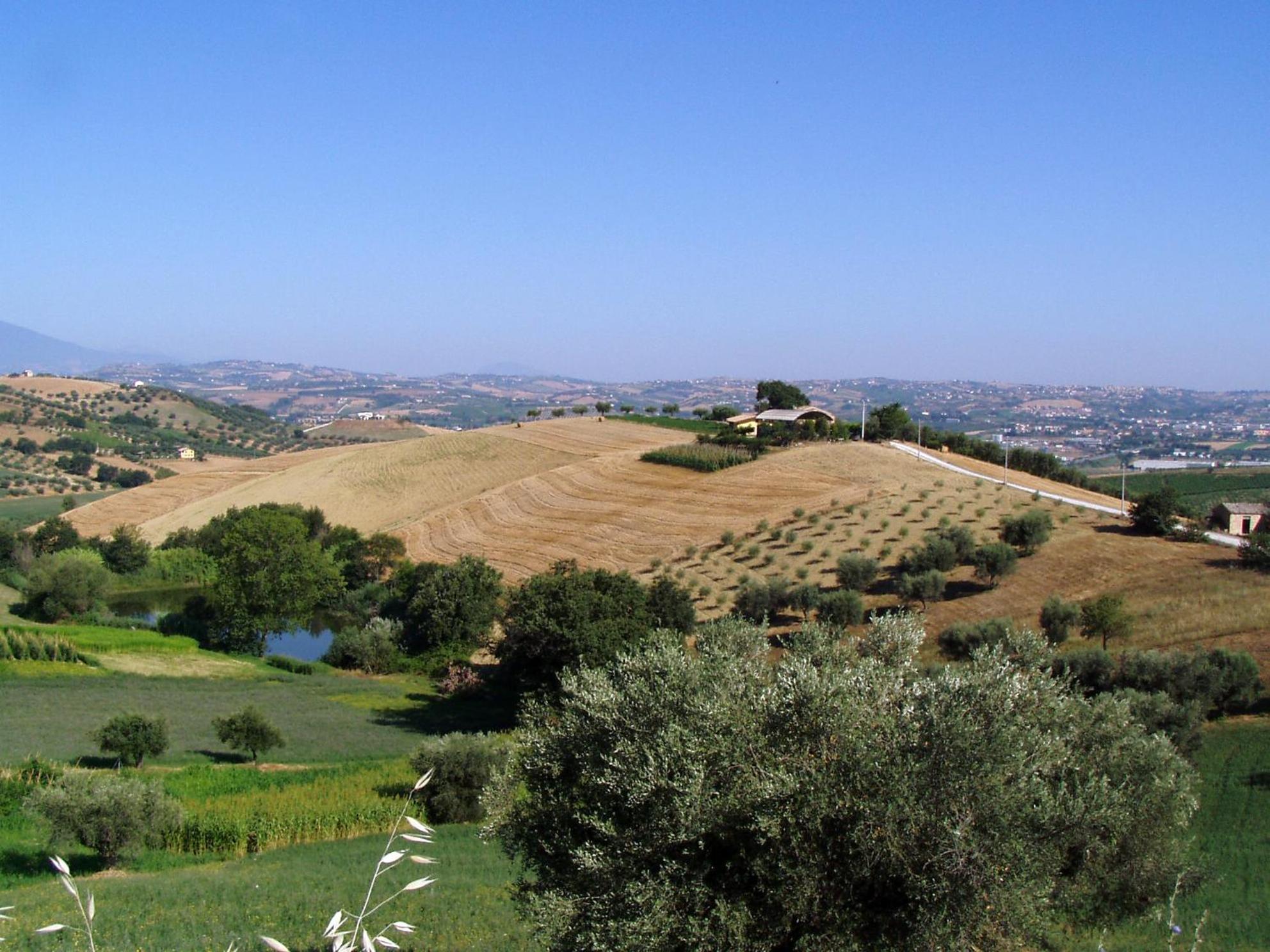 Agriturismo Tenuta Santa Maria Notaresco Eksteriør billede