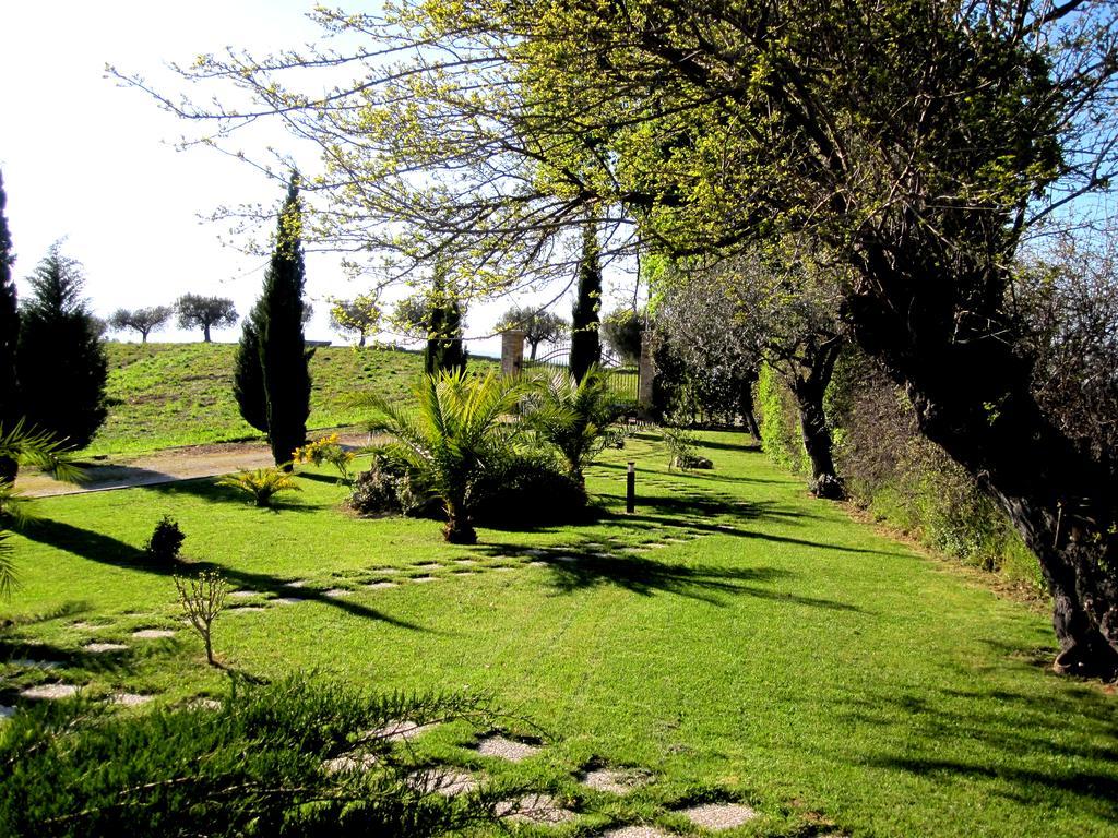 Agriturismo Tenuta Santa Maria Notaresco Eksteriør billede
