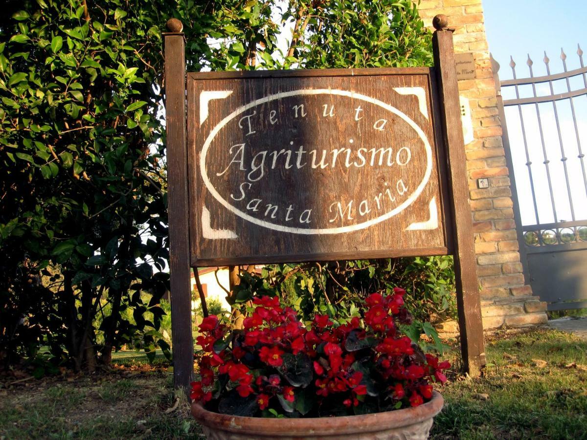 Agriturismo Tenuta Santa Maria Notaresco Eksteriør billede