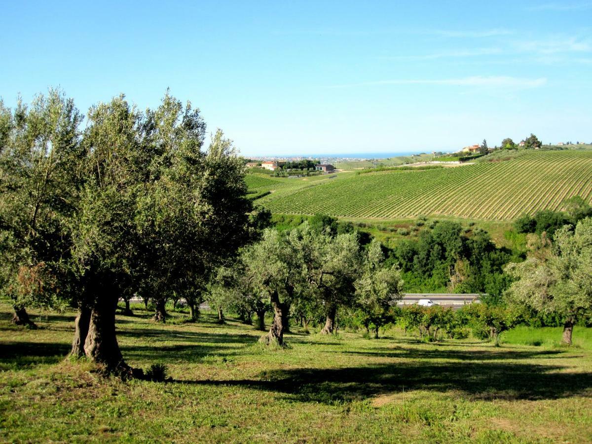 Agriturismo Tenuta Santa Maria Notaresco Eksteriør billede